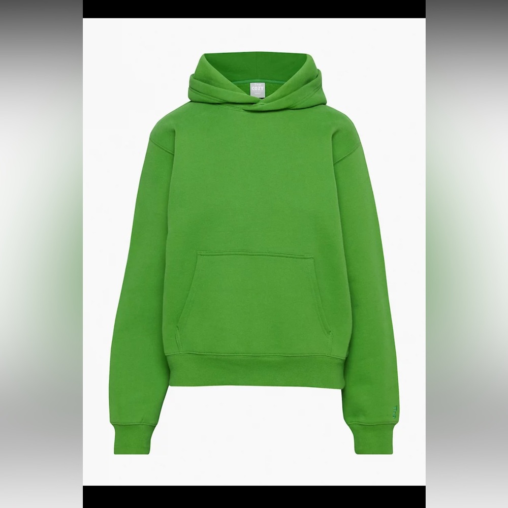 NWT Aritzia Cozy Fleece Perfect Hoodie!